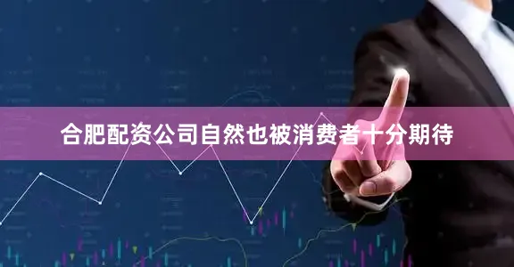合肥配资公司自然也被消费者十分期待