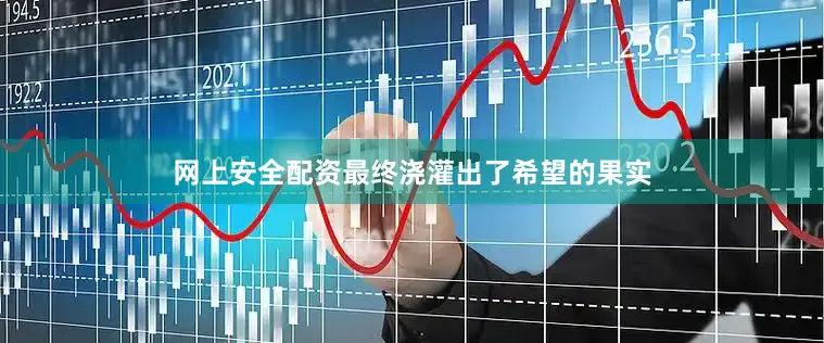 网上安全配资最终浇灌出了希望的果实