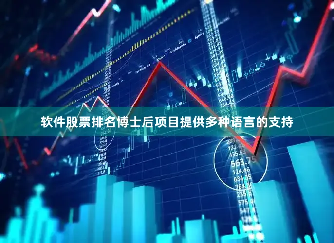软件股票排名博士后项目提供多种语言的支持